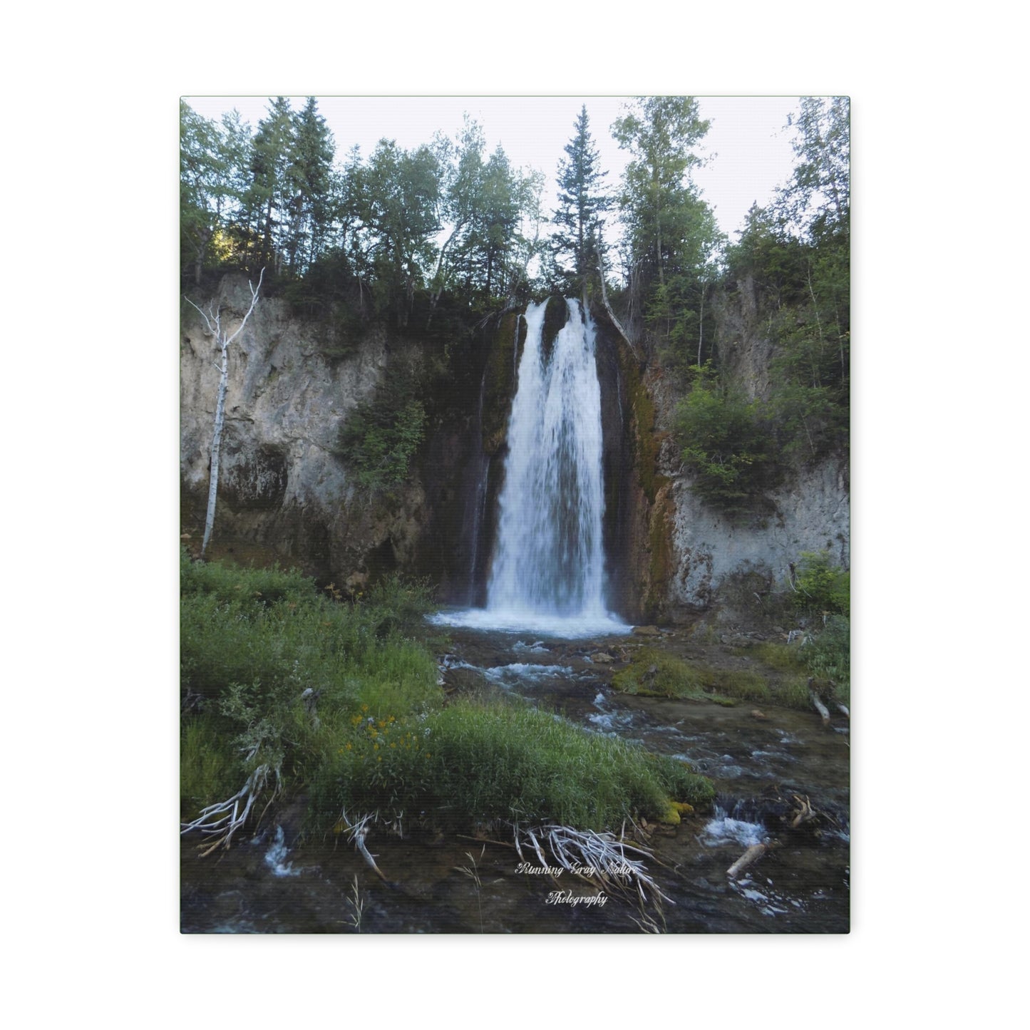 Spearfish Canyon Waterfall Matte Canvas, Stretched, 1.25"