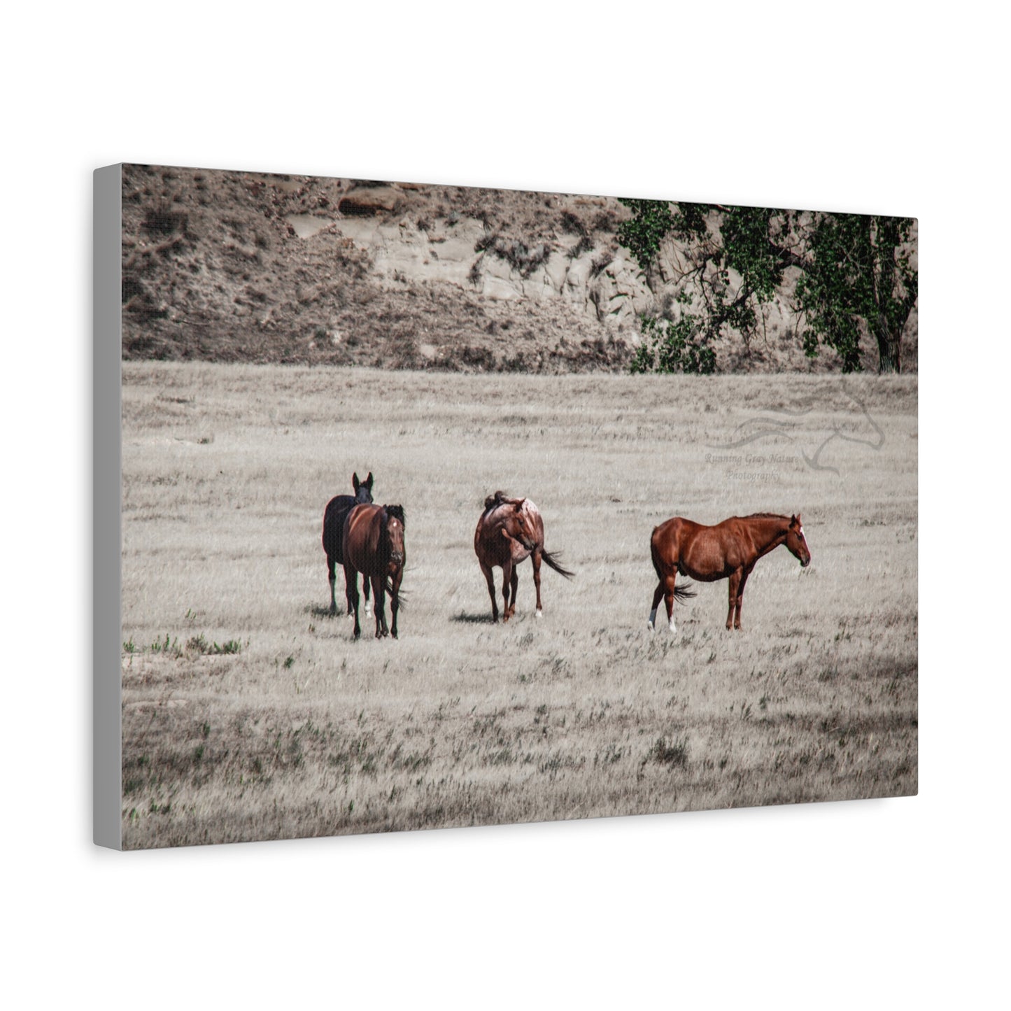 Not everything is Black and White