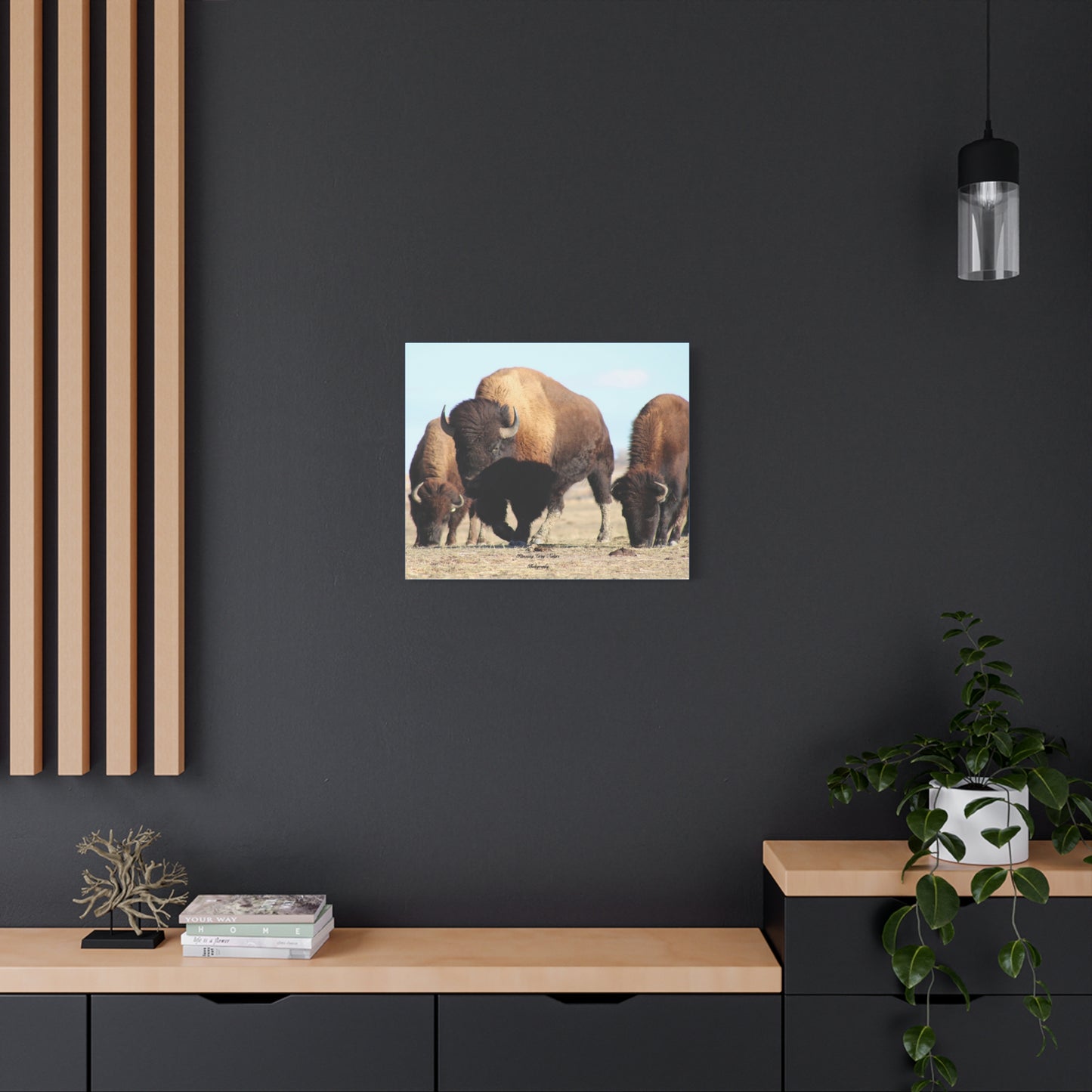 Buffalo Herd Matte Canvas, Stretched, 1.25"