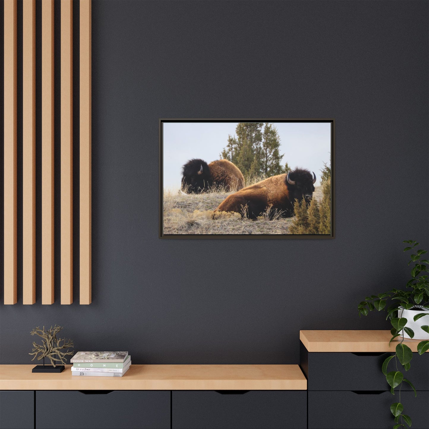 Two Bull Buffalo Framed Canvas