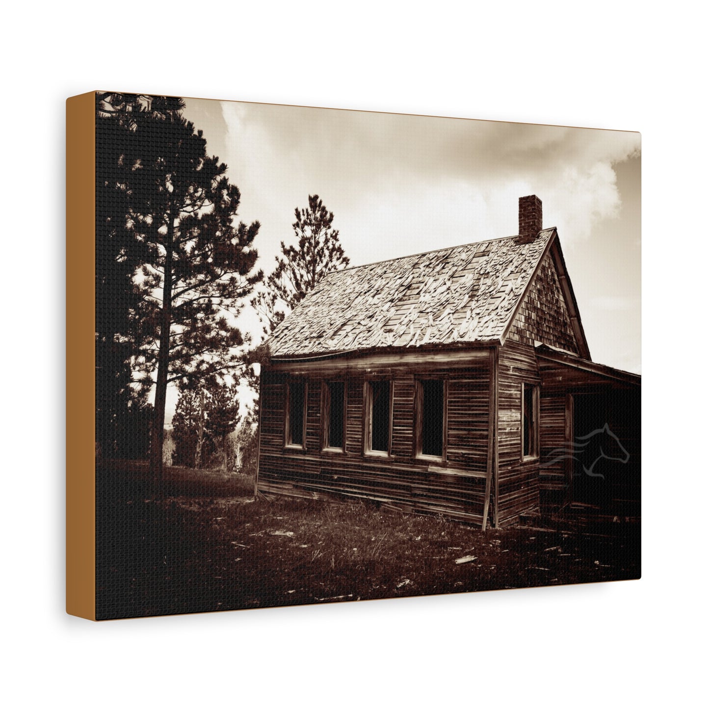 Rustic Bunk House Canvas