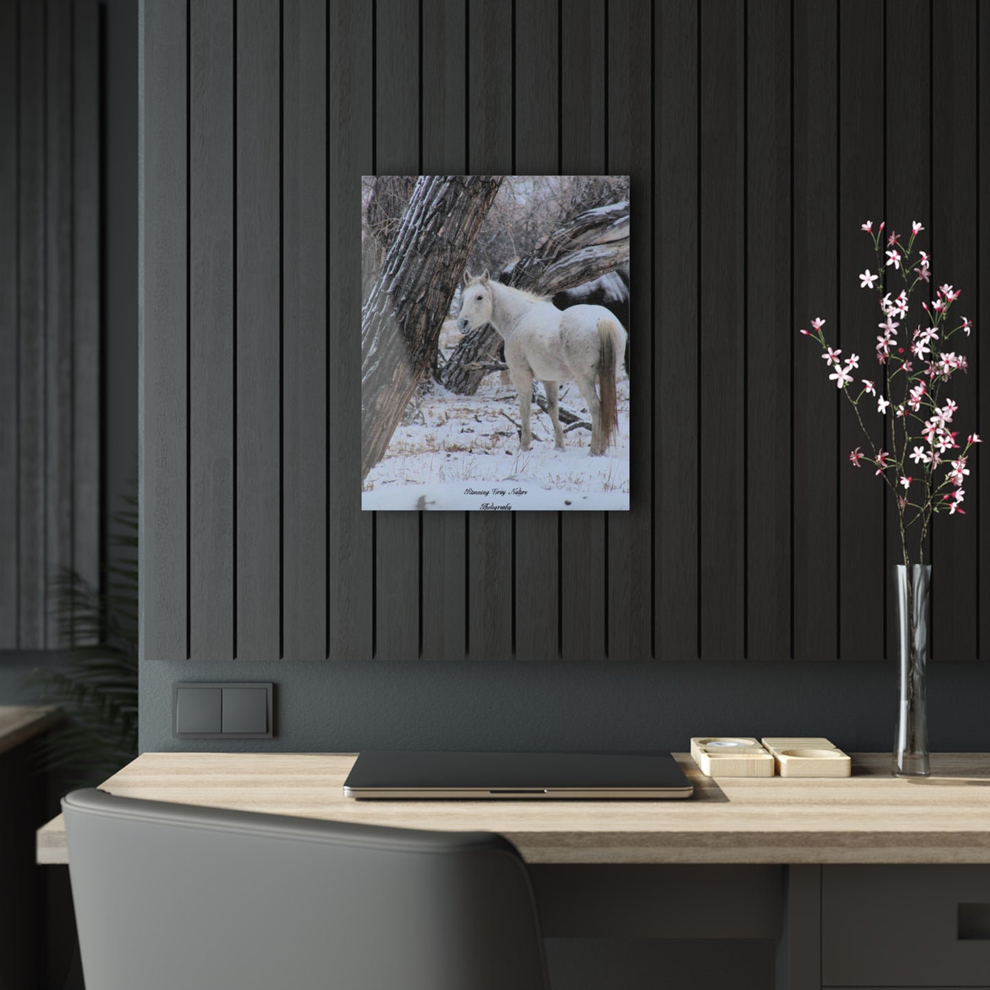 Winter White Horse Acrylic Prints