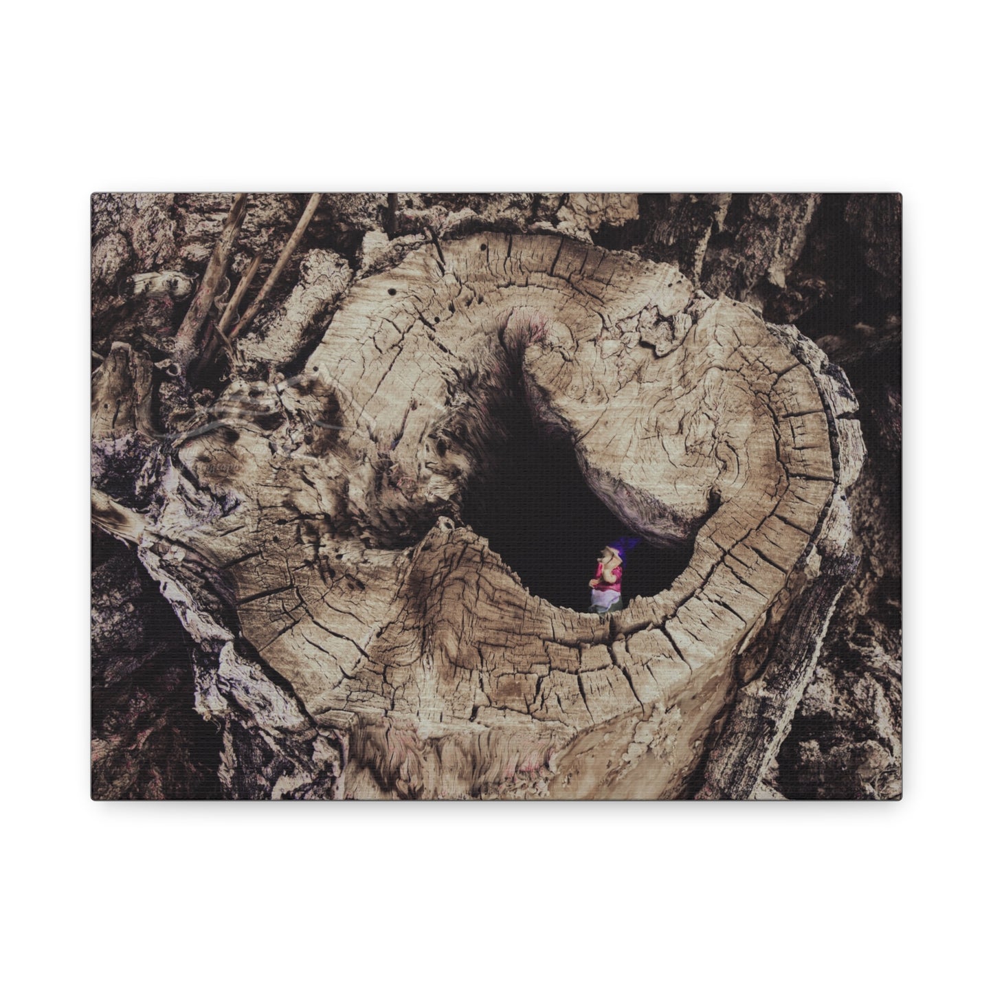 Fairy in a Tree Canvas