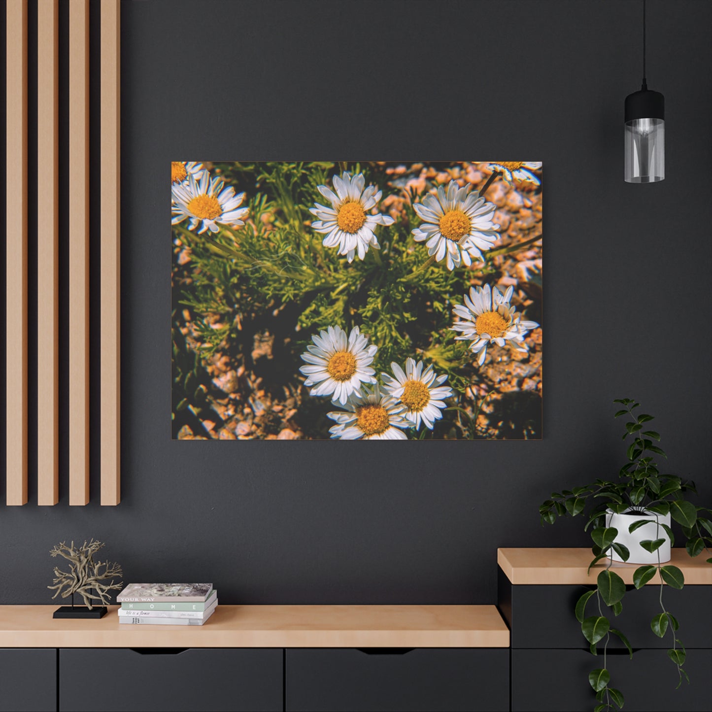 Wild Daisy Canvas