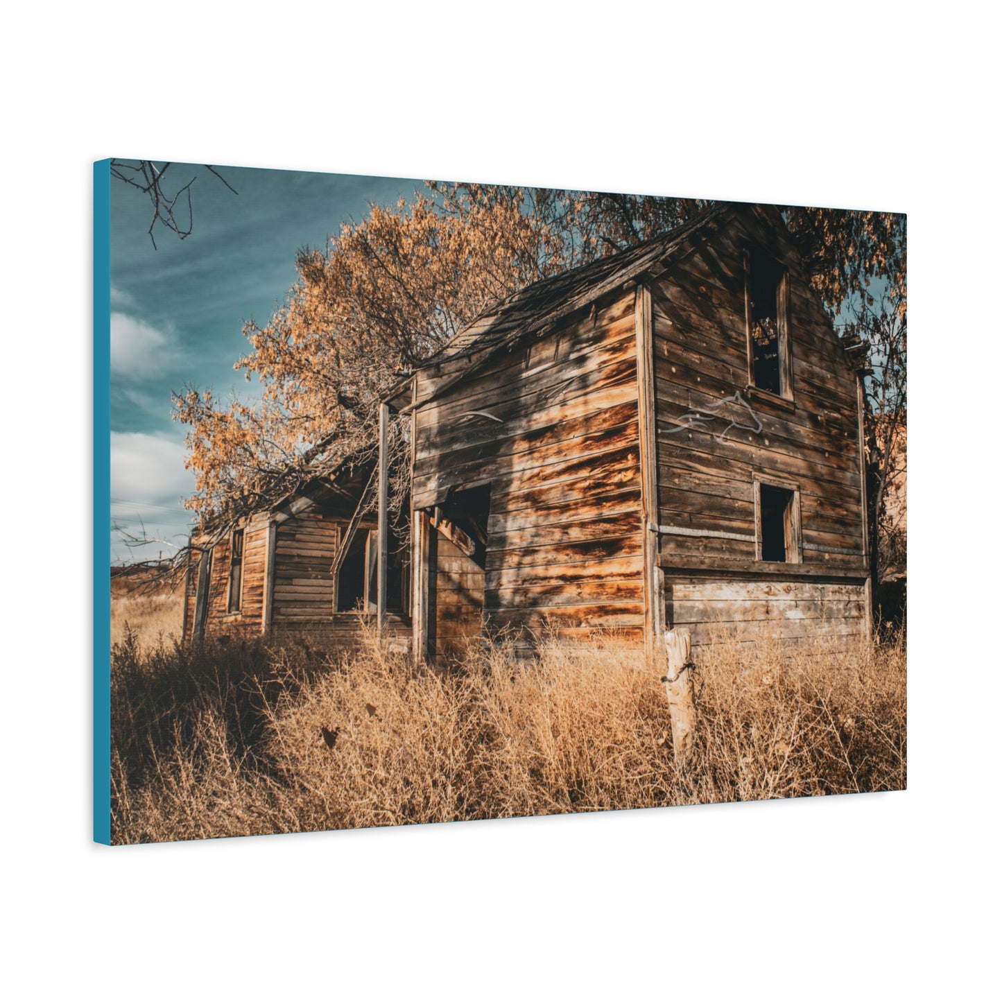 Vintage Cottage Canvas