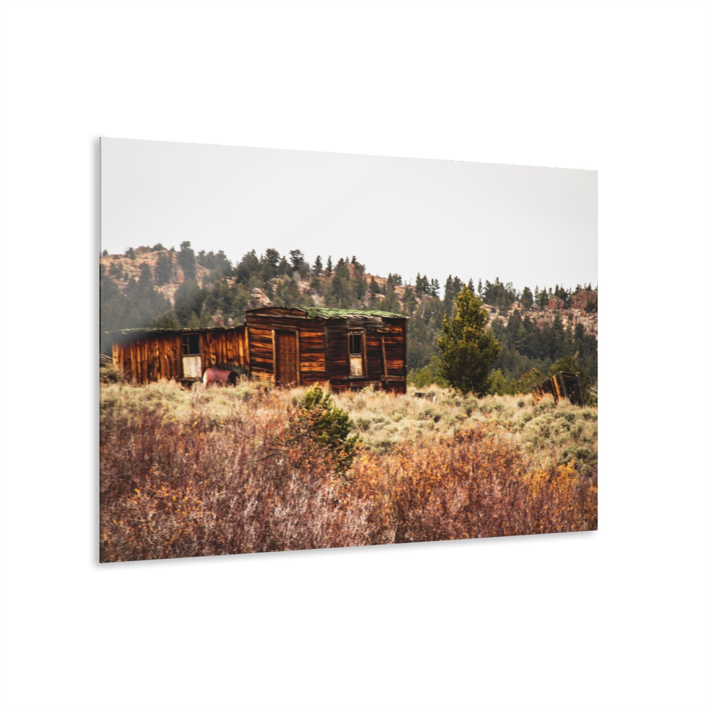 Rustic Landscape Acrylic