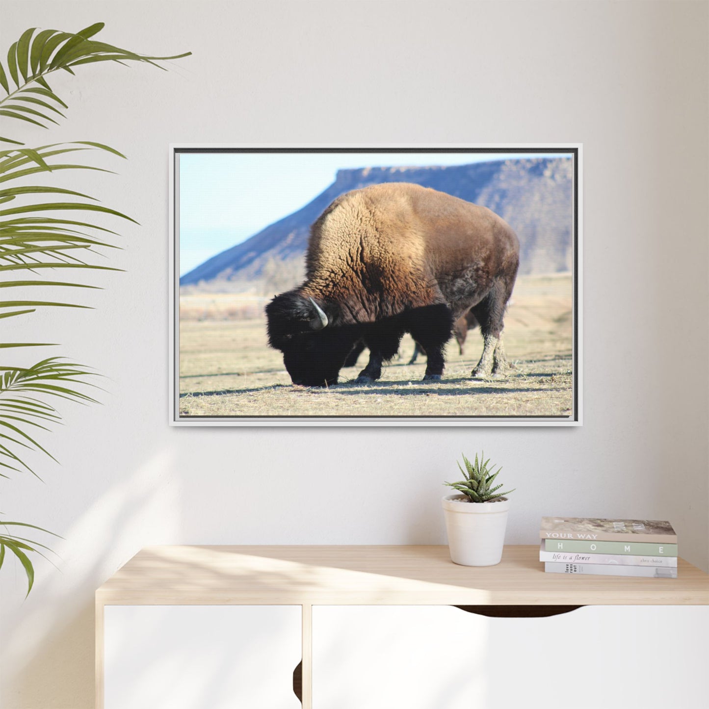 Big Daddy Buffalo Framed Canvas