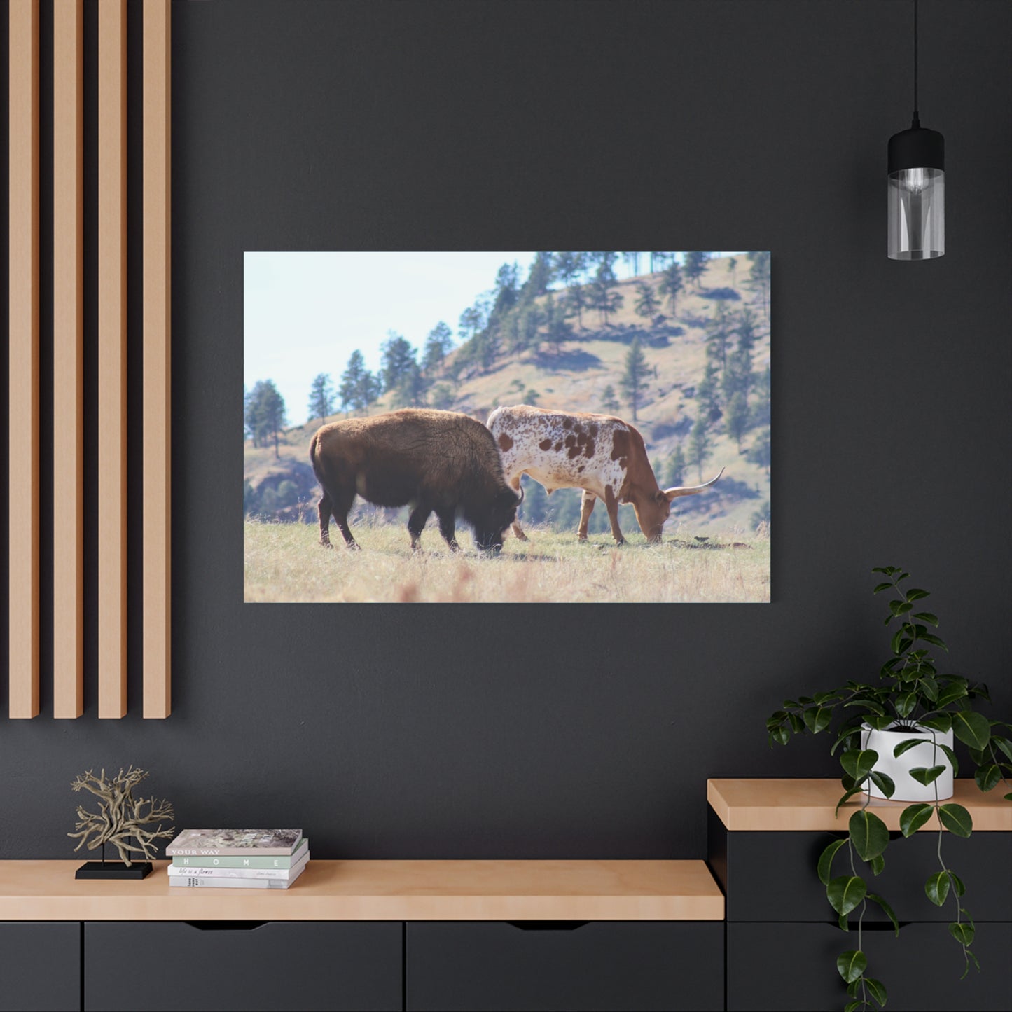 Long Horn and Buffalo Canvas