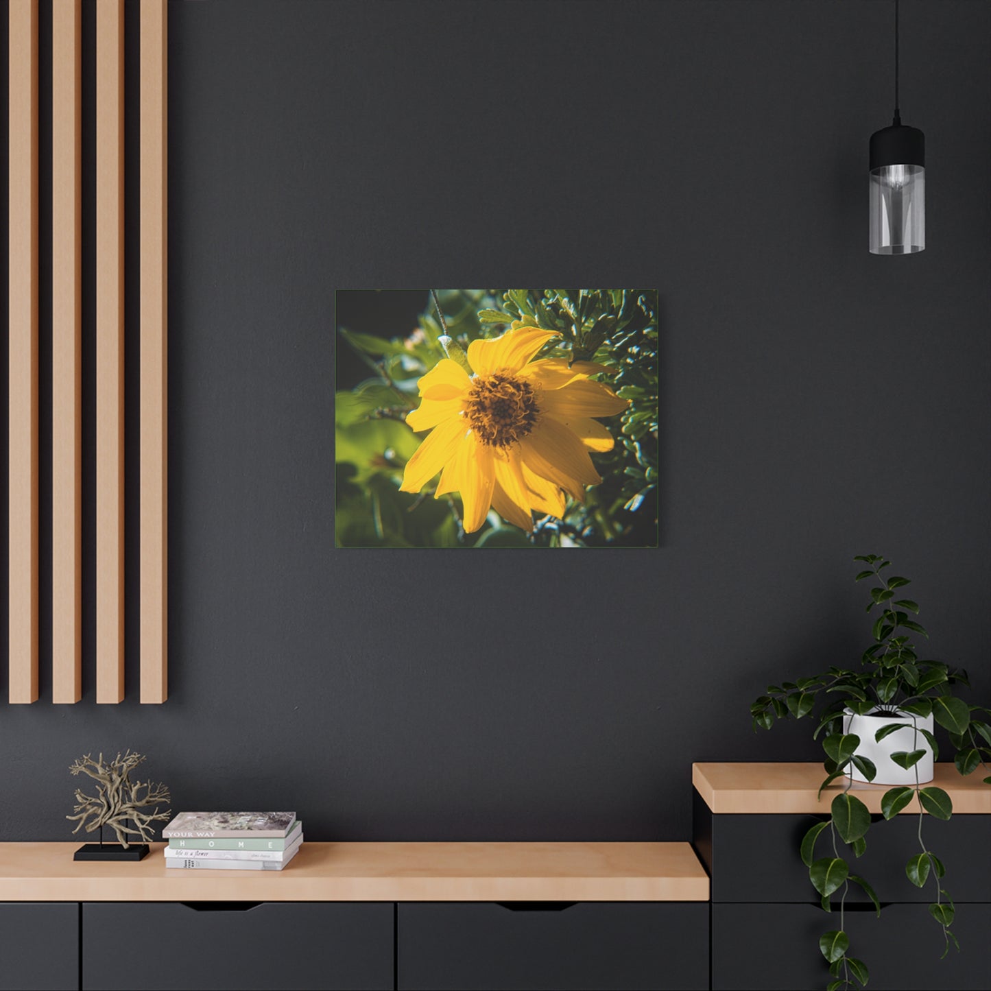 Arrowleaf Balsamroot Canvas