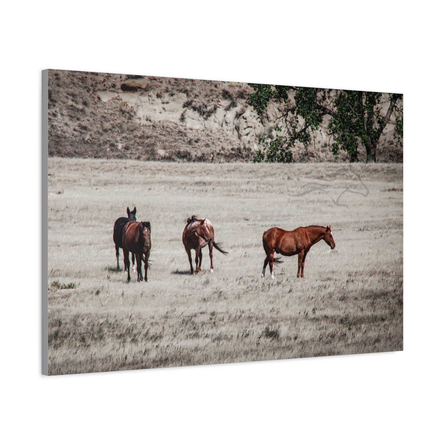 Not everything is Black and White