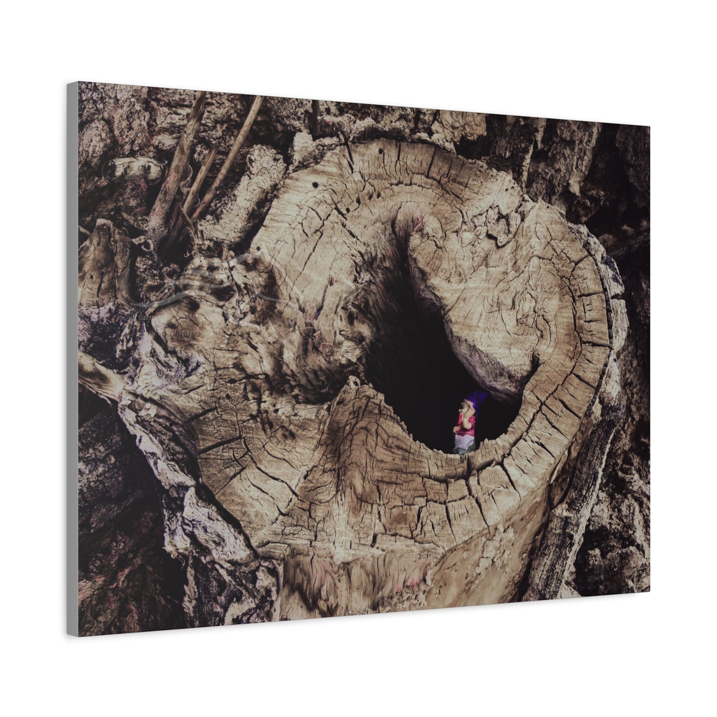 Fairy in a Tree Canvas