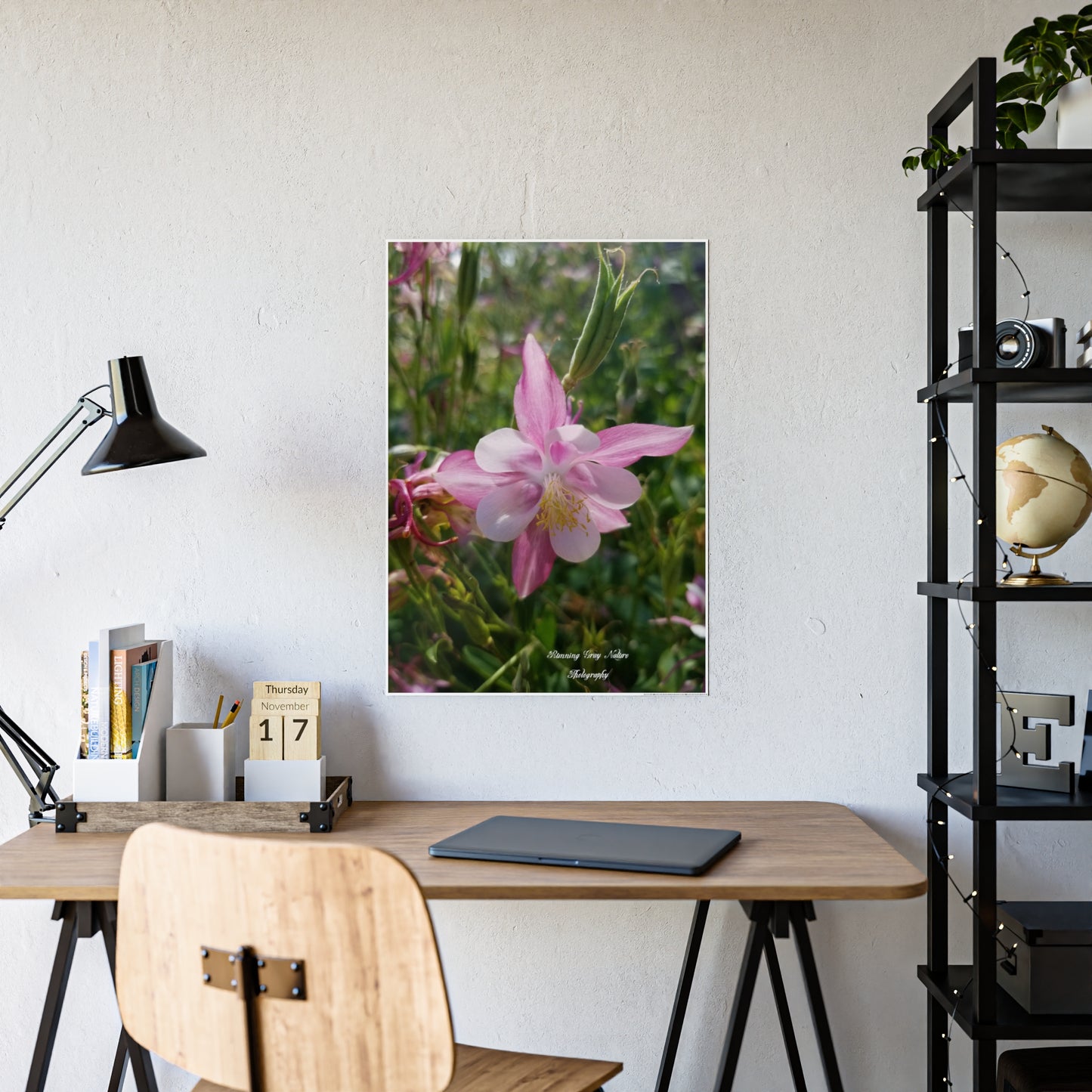 Posters Board Pink Columbine