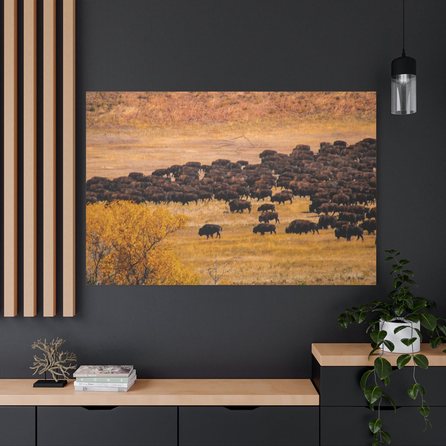 Buffalo all Gathered Canvas