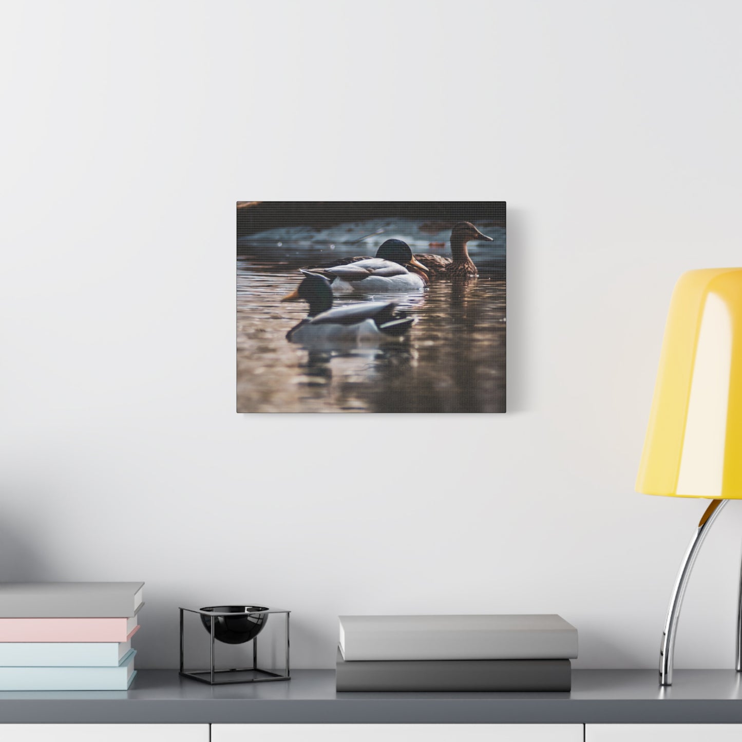 Mallard Ducks Canvas