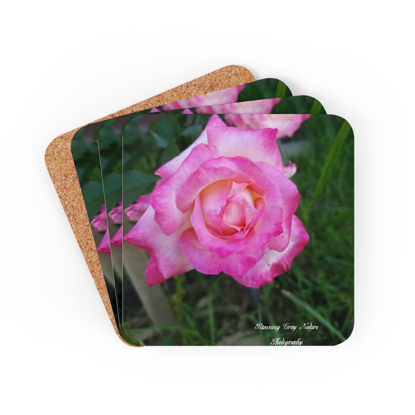 Pink Roses Coaster