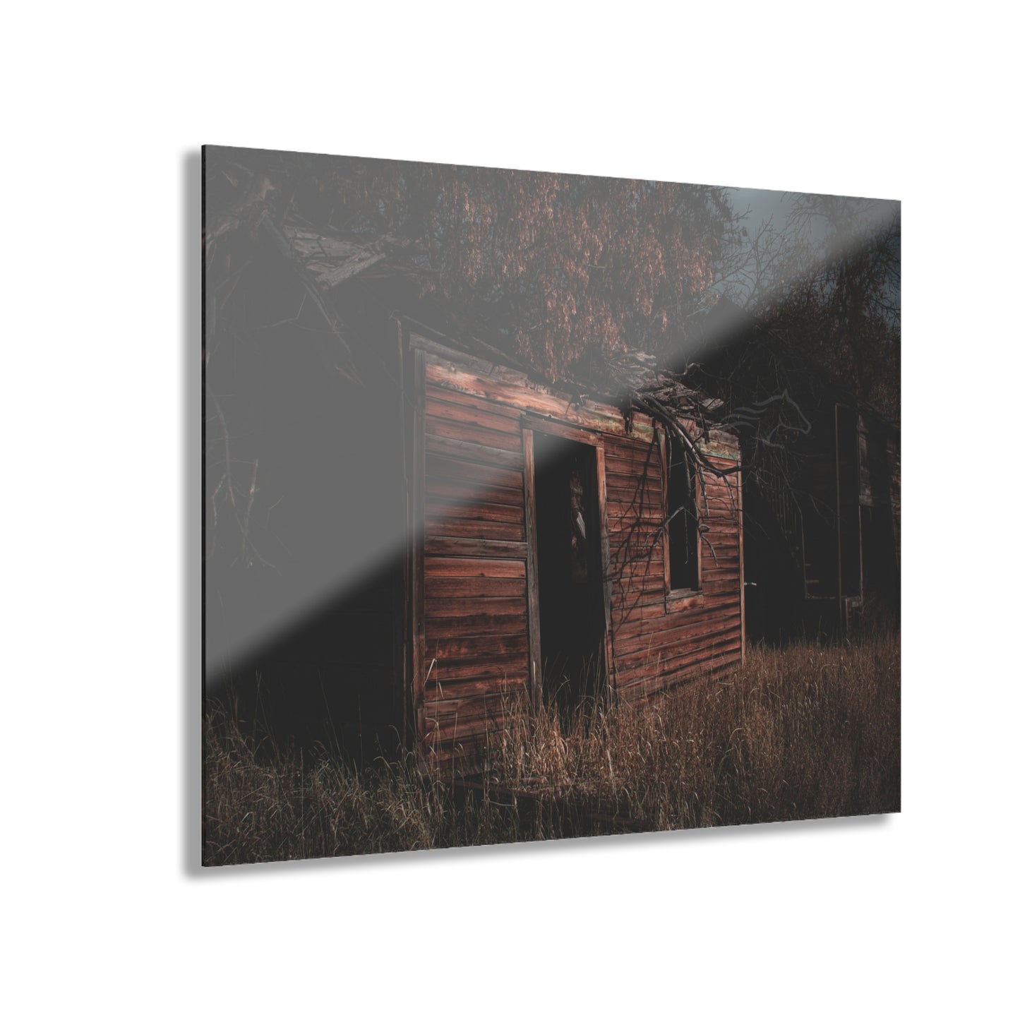 Haunting Rustic Acrylic