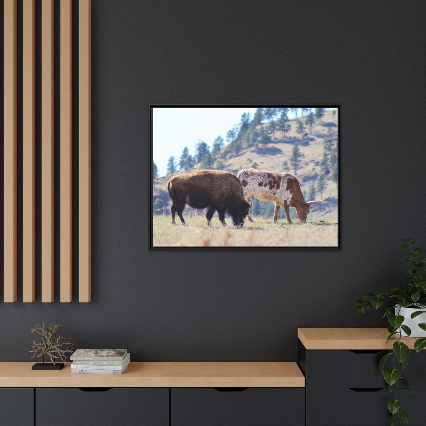 Long Horn and Buffalo Framed Canvas
