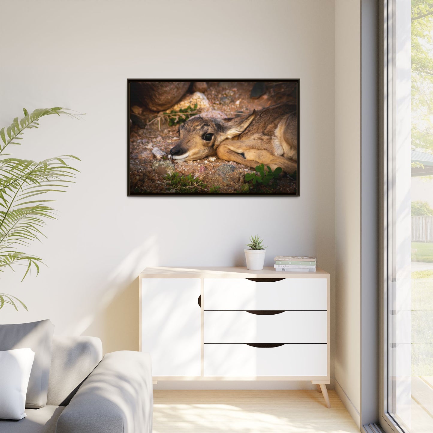Baby Antelope Framed Canvas