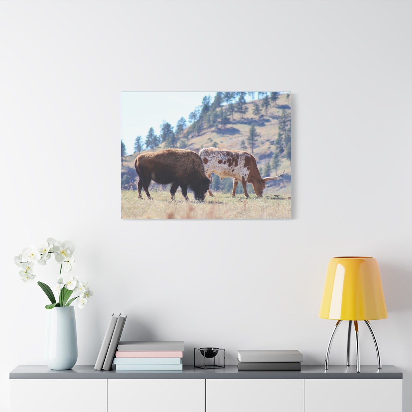 Long Horn and Buffalo Canvas