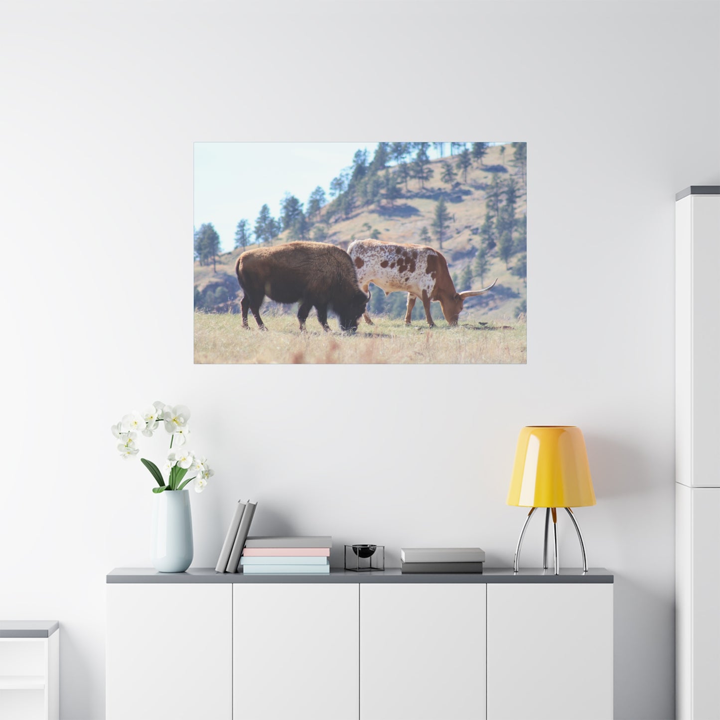 Long Horn and Buffalo Canvas