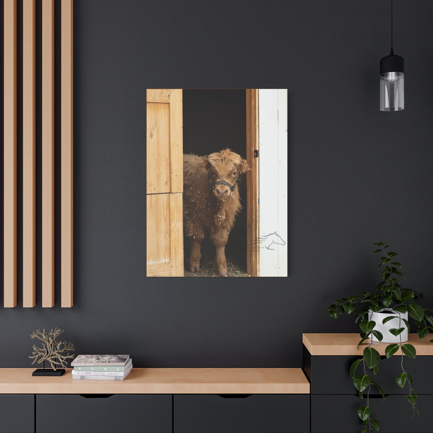 Little Highlander Canvas