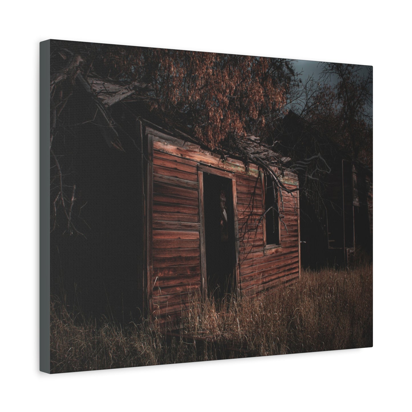 Haunting Rustic Canvas