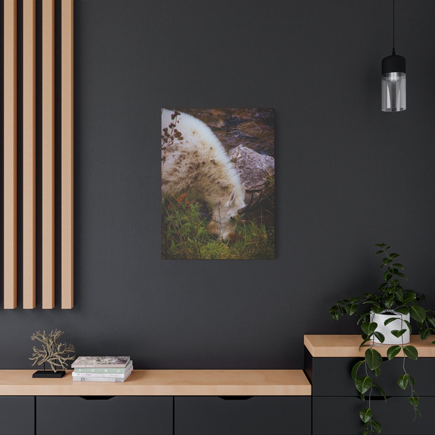 Mountain Goat Canvas