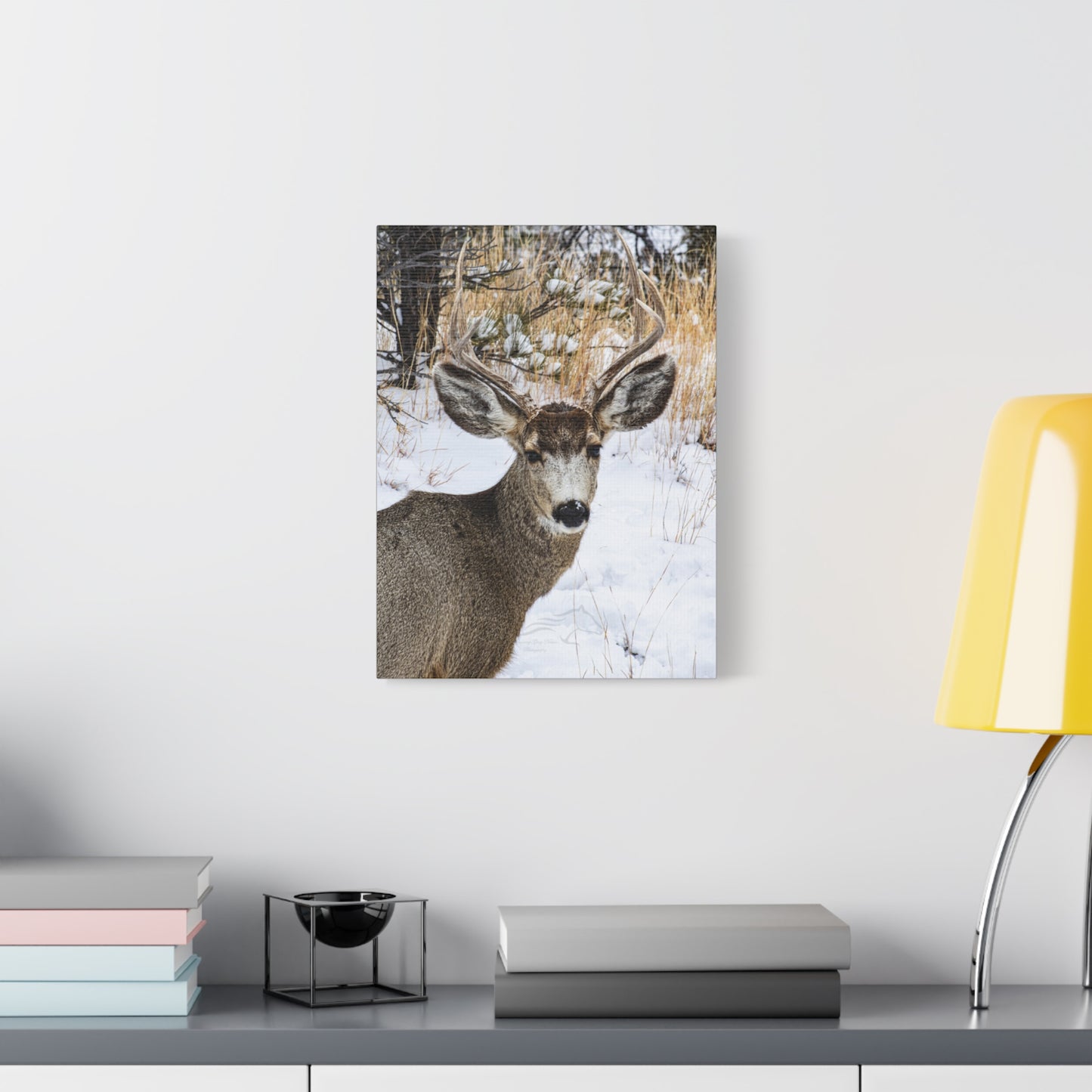 Deer Antlers in February Canvas