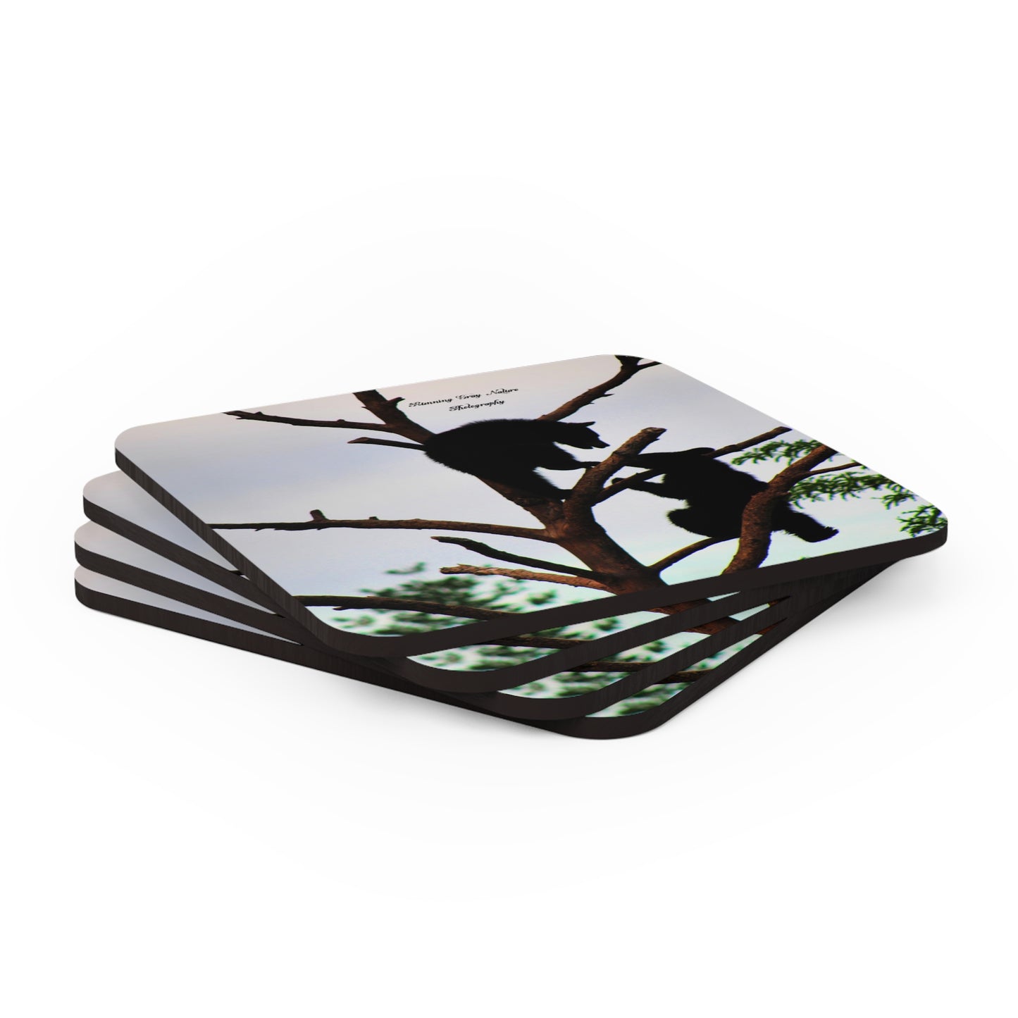 Cubs in a Tree Corkwood Coaster Set