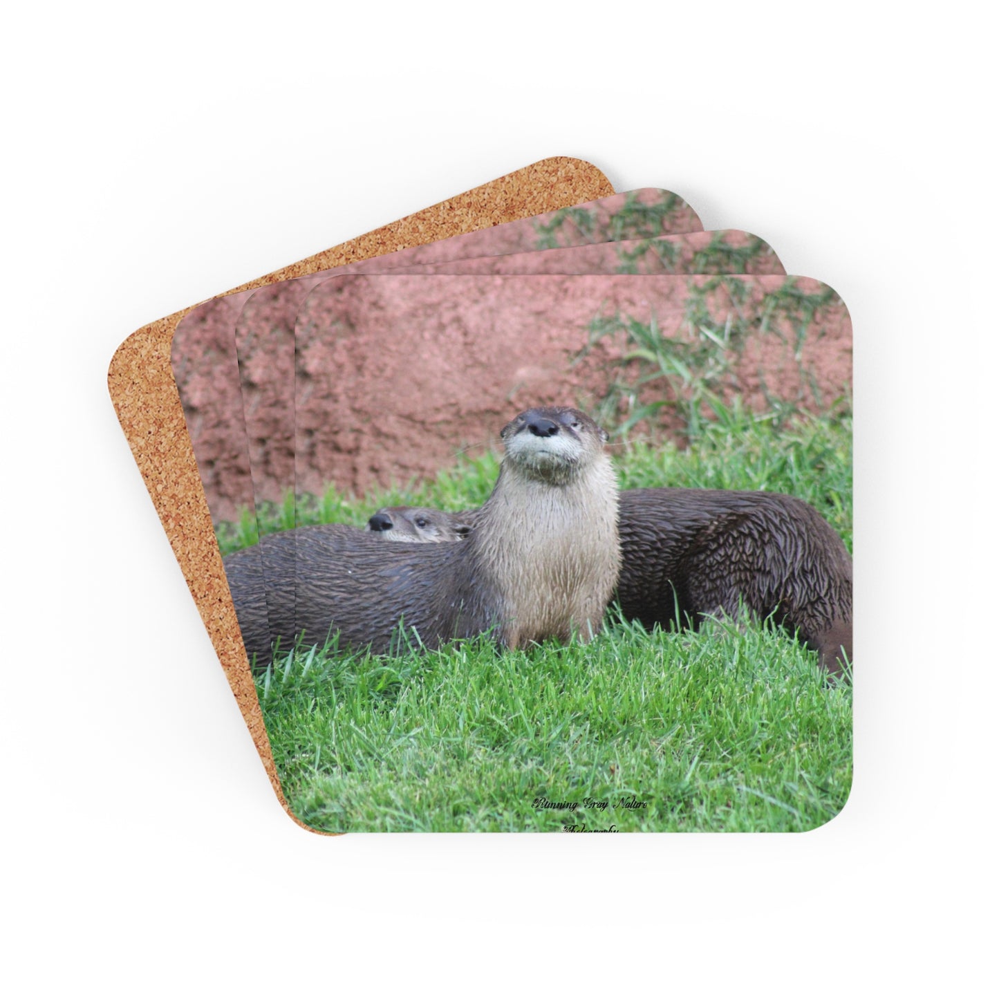 Otters Corkwood Coaster Set