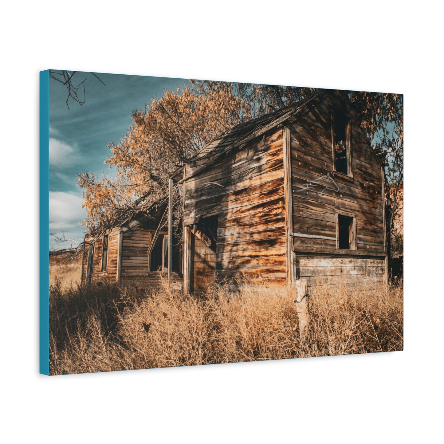 Vintage Cottage Canvas