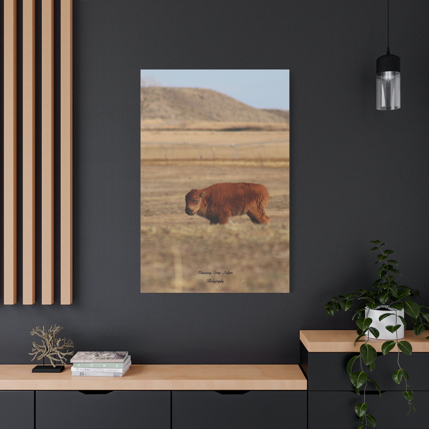 Baby Buffalo Matte Canvas, Stretched, 1.25"