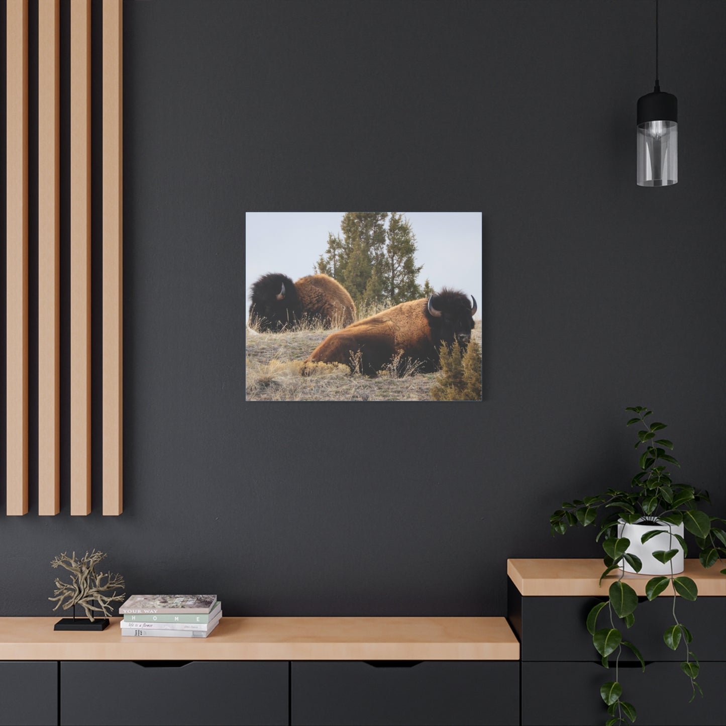 Two Bull Buffalo Canvas