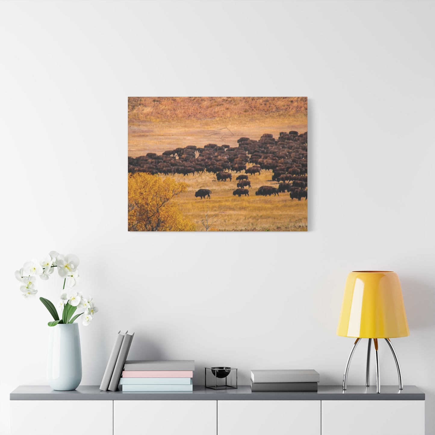 Buffalo all Gathered Canvas