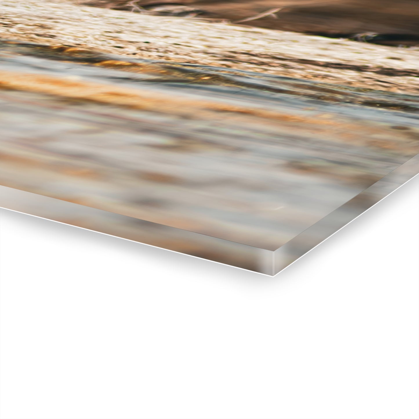 Nature-Inspired Duck Acrylic