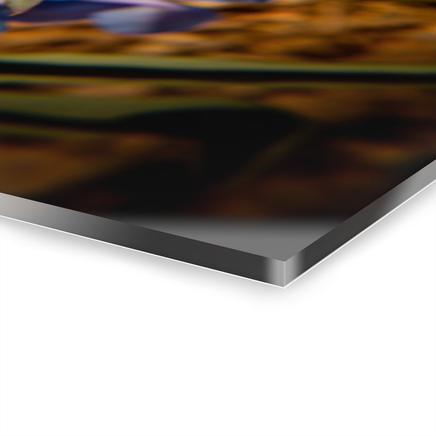 Showy Penstemon Acrylic