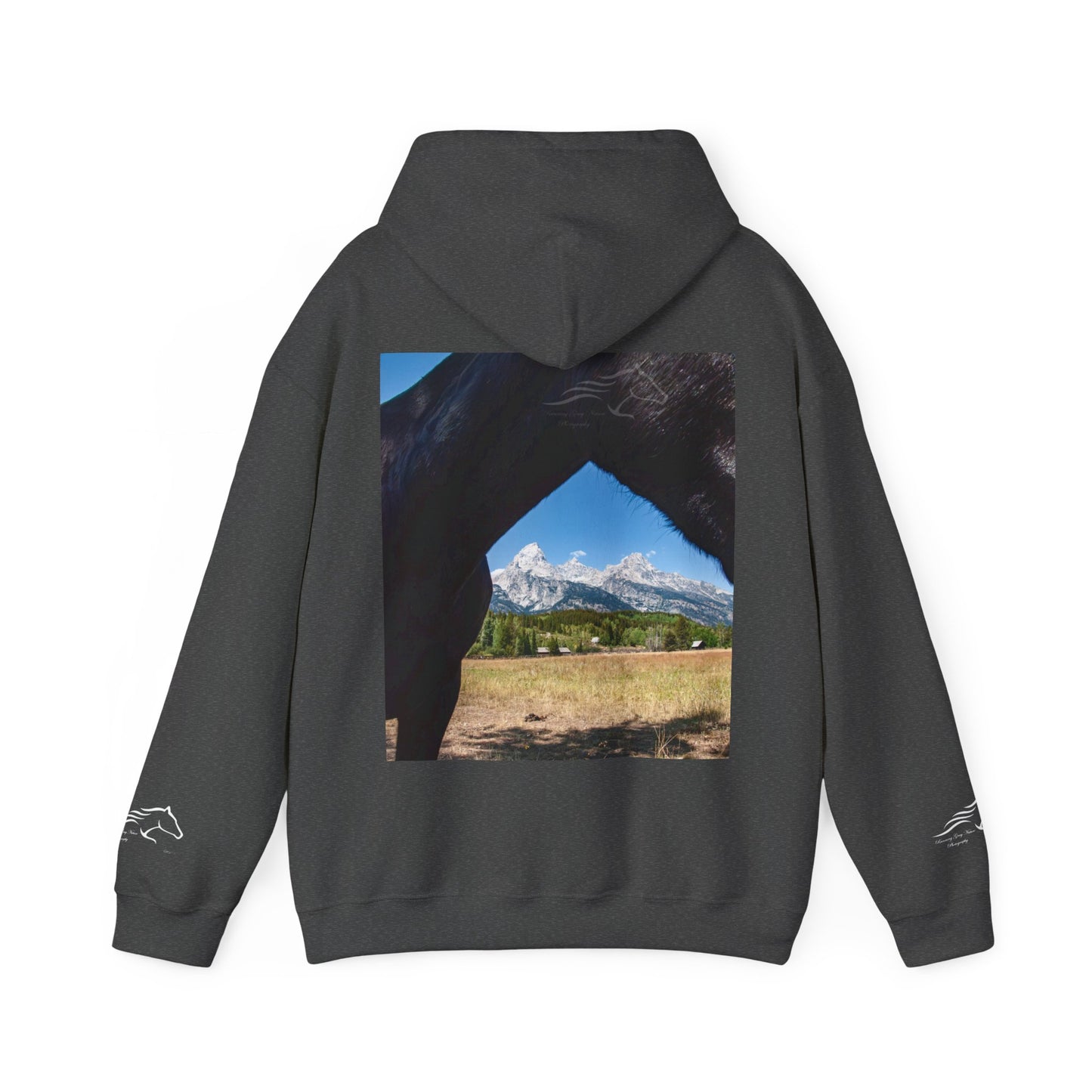 Mountain View Hoodie
