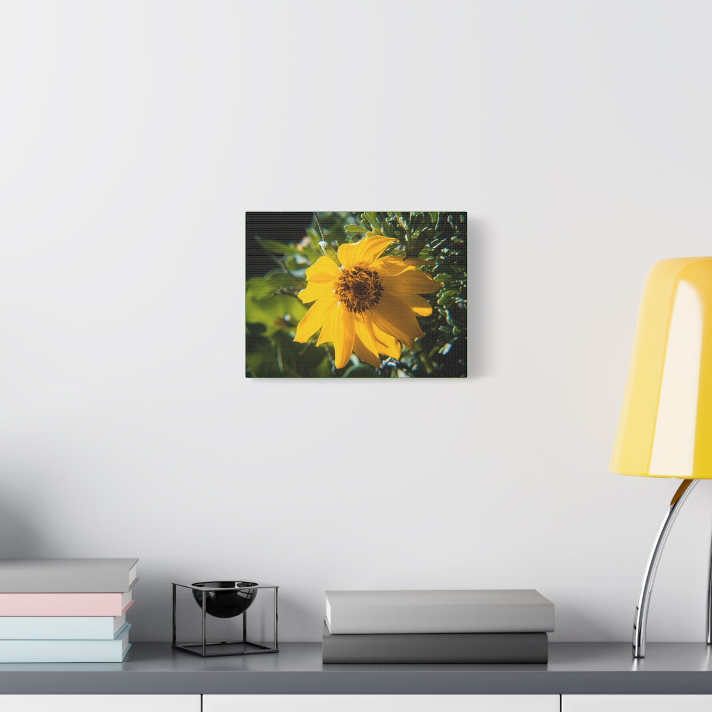 Arrowleaf Balsamroot Canvas