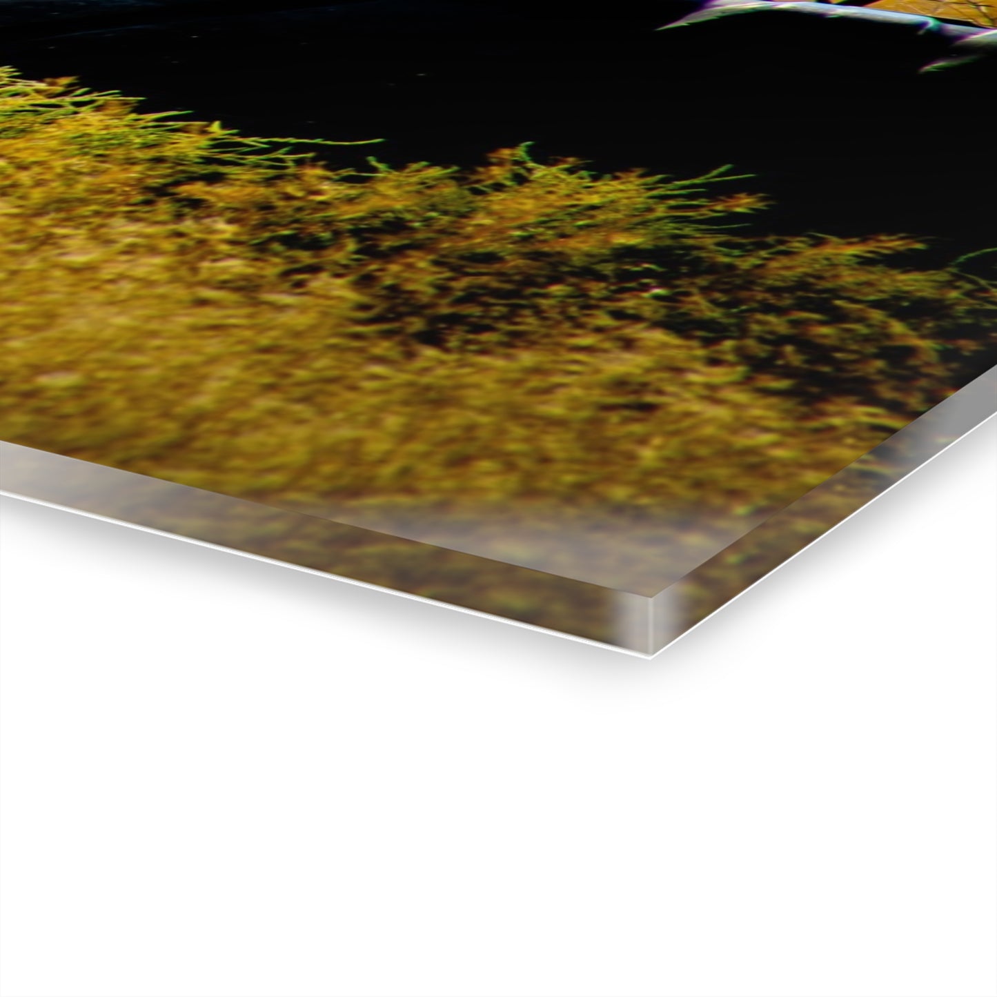 Rustic Tractor Acrylic