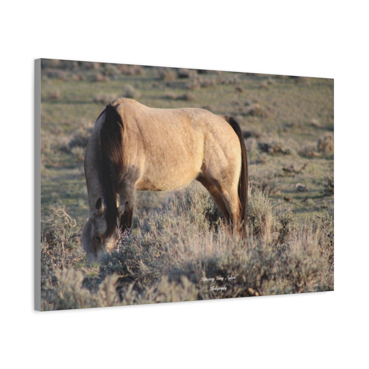 Buckskin Matte Canvas, Stretched, 1.25"