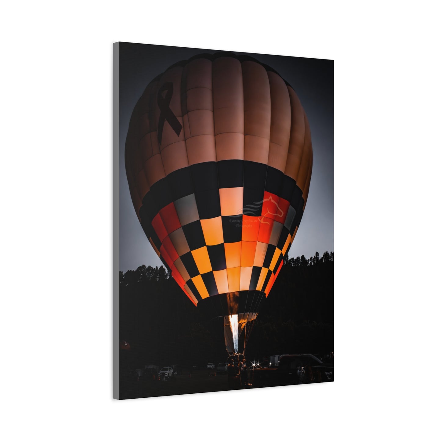 Hot Air Balloon Canvas