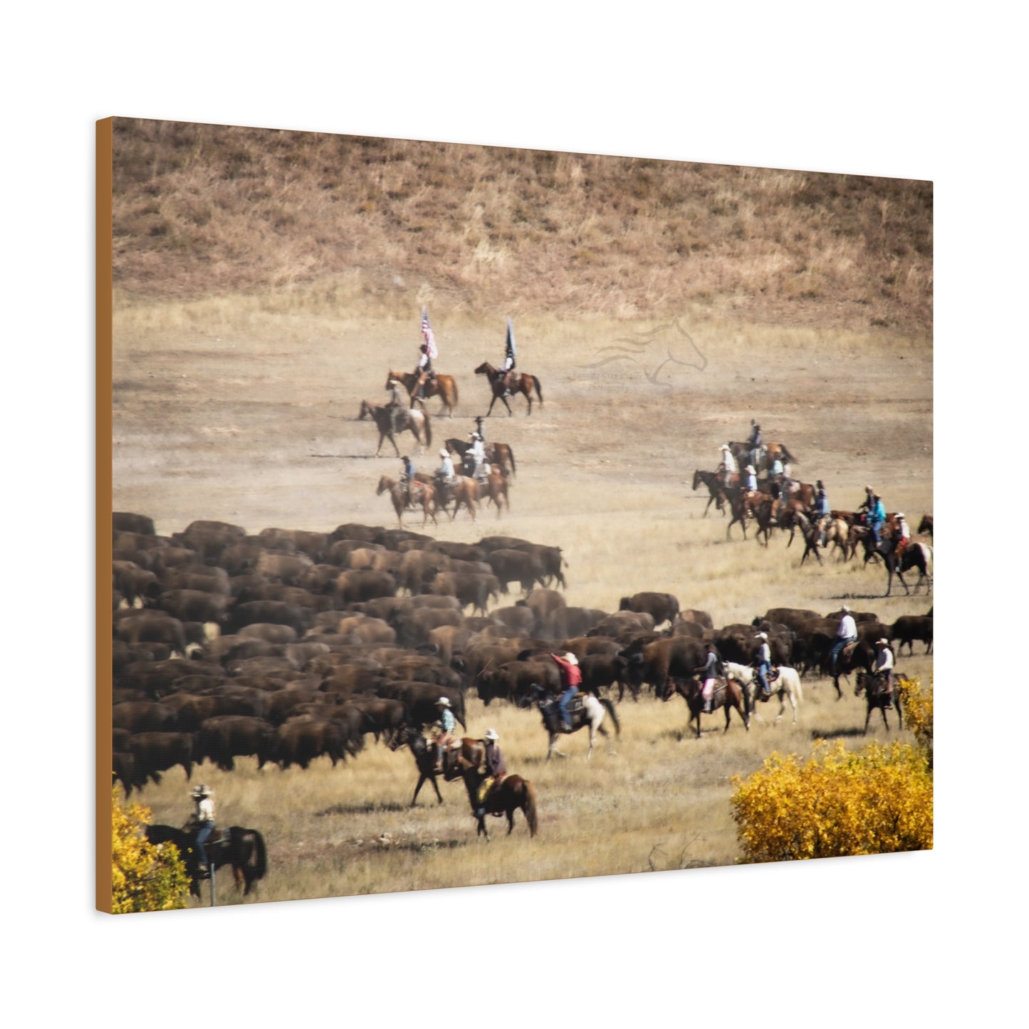 Cowboys and Buffalos Canvas
