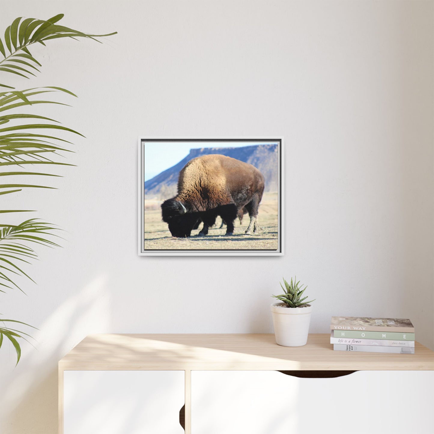 Big Daddy Buffalo Framed Canvas