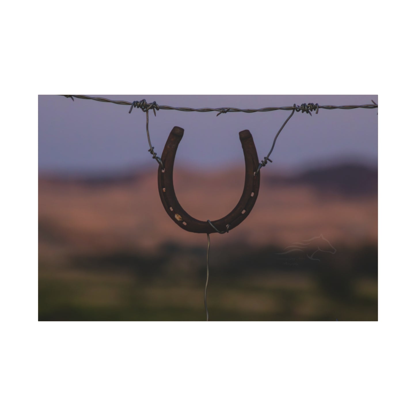 Rustic Horseshoe Canvas