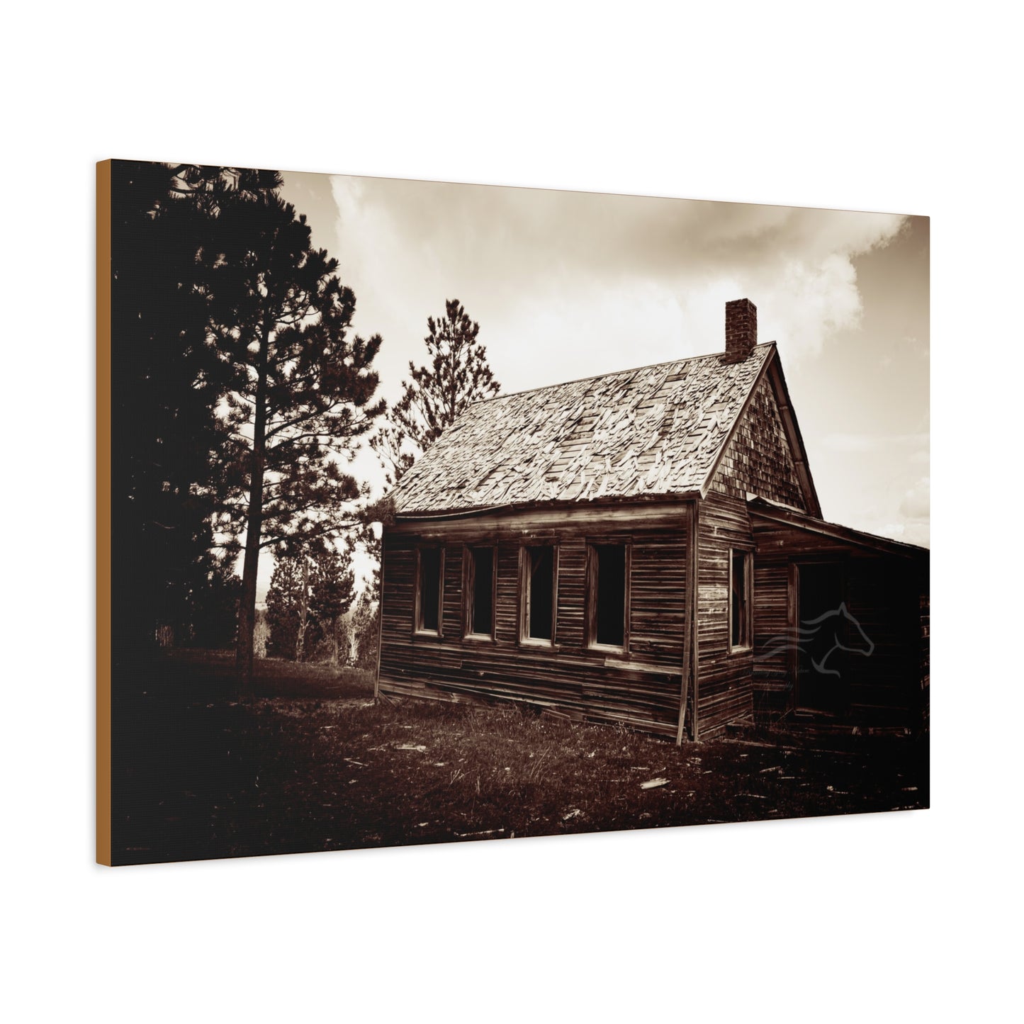 Rustic Bunk House Canvas
