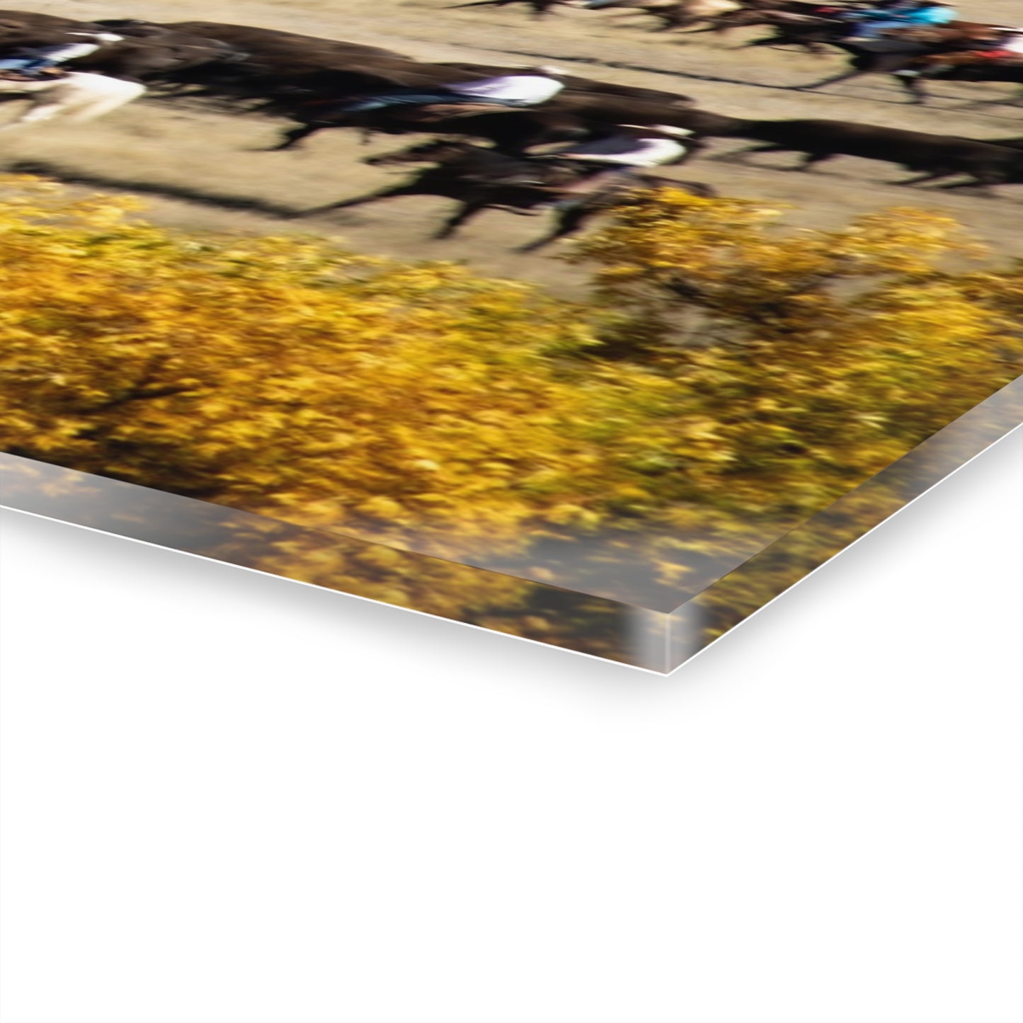 Cowboys and Buffalo Acrylic