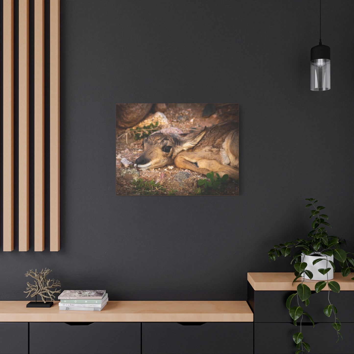 Baby Antelope Canvas