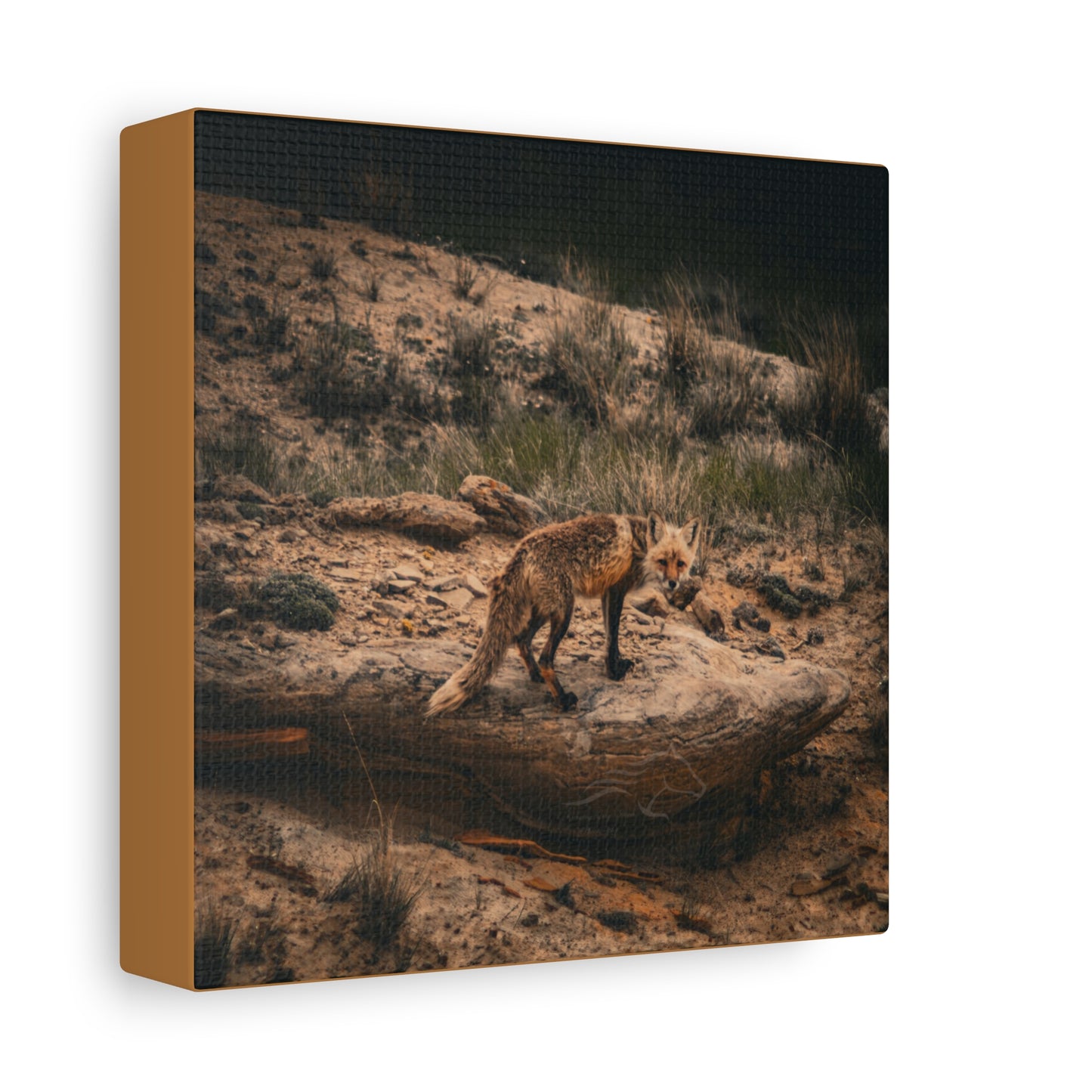 Rustic Fox Canvas