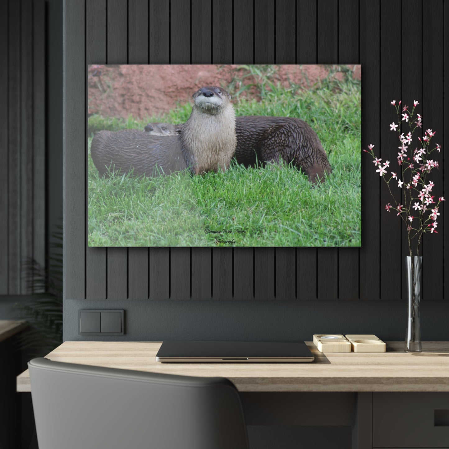 Otters Acrylic Prints