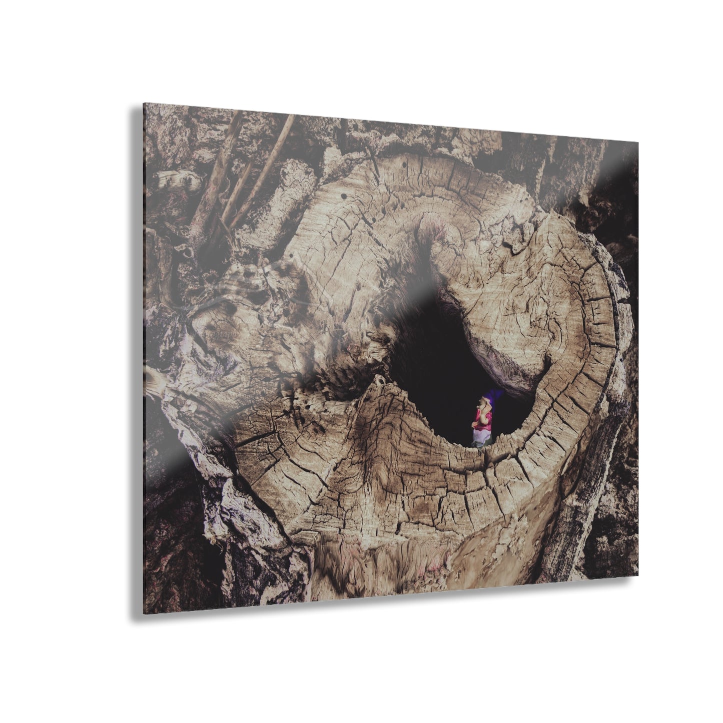 Fairy in a Tree Acrylic